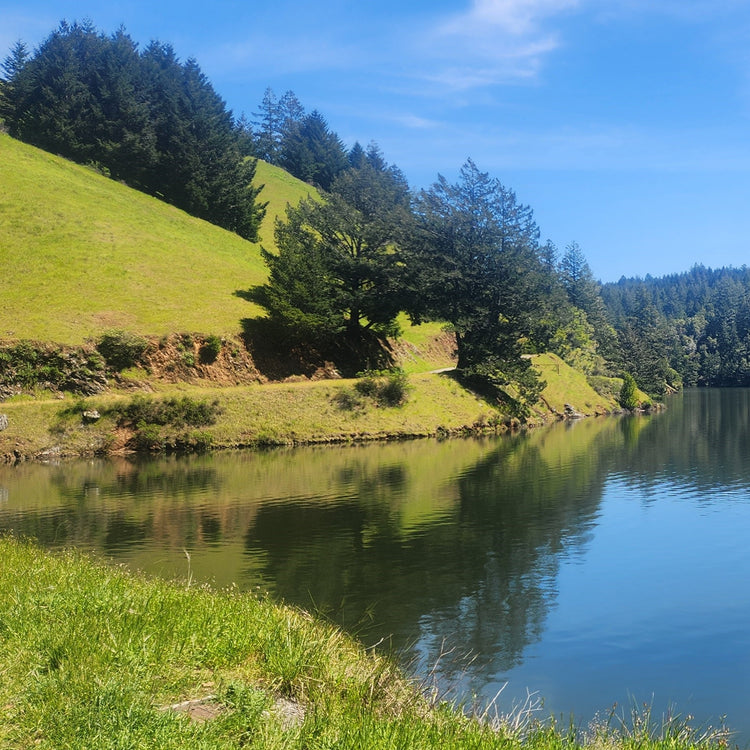 Golden Gate to Sea Otter 2026 – A 10-Day California Cycling Odyssey