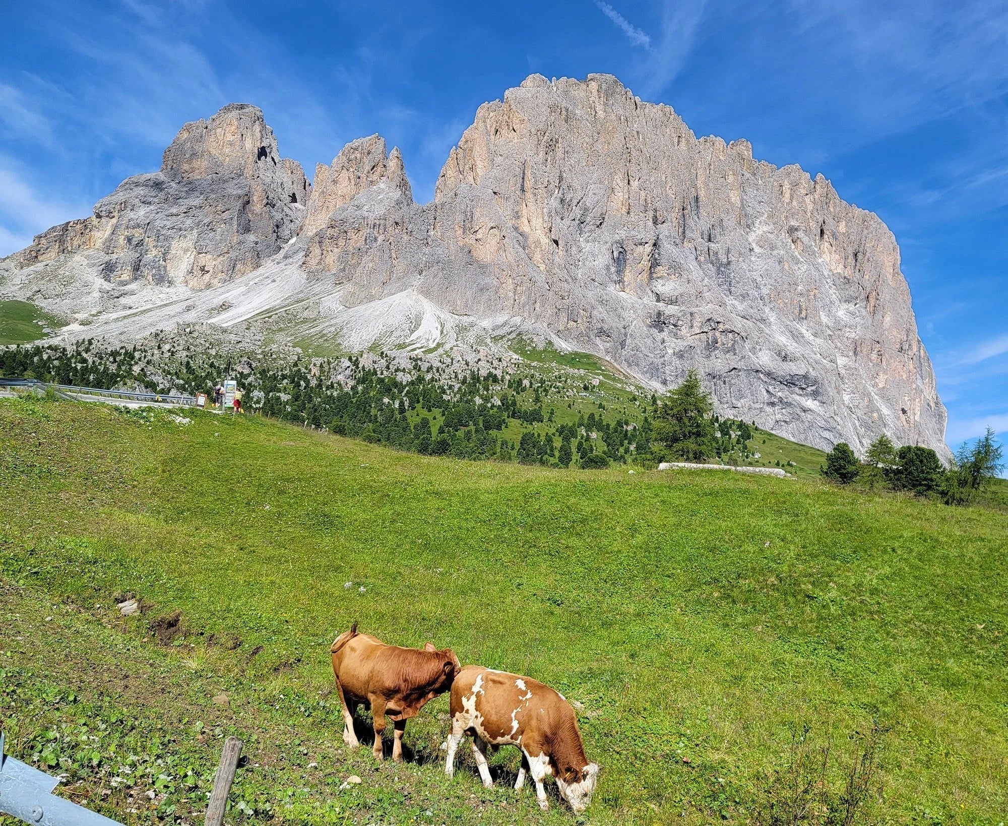 Tour Review #3 – Slovenia · Austria · Italy (Dolomites) 2025 - 14 days of Alpine Magic