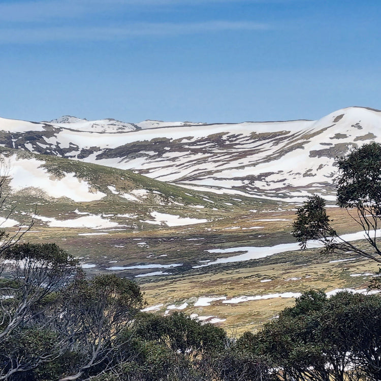 The Jindabyne High Country Training Camp, NSW  - 7 days