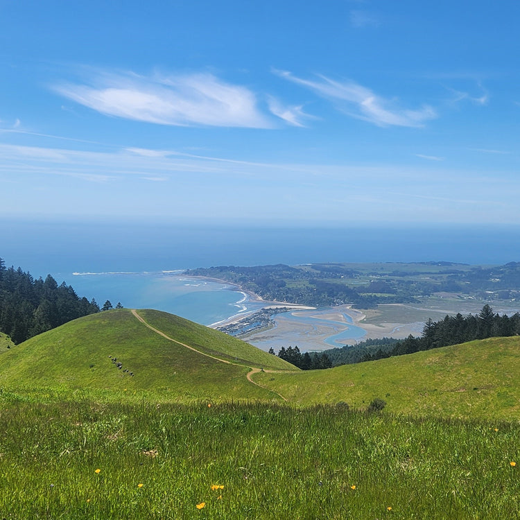 Golden Gate to Sea Otter 2026 – A 10-Day California Cycling Odyssey
