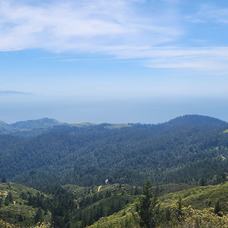 Golden Gate to Sea Otter 2026 – A 10-Day California Cycling Odyssey