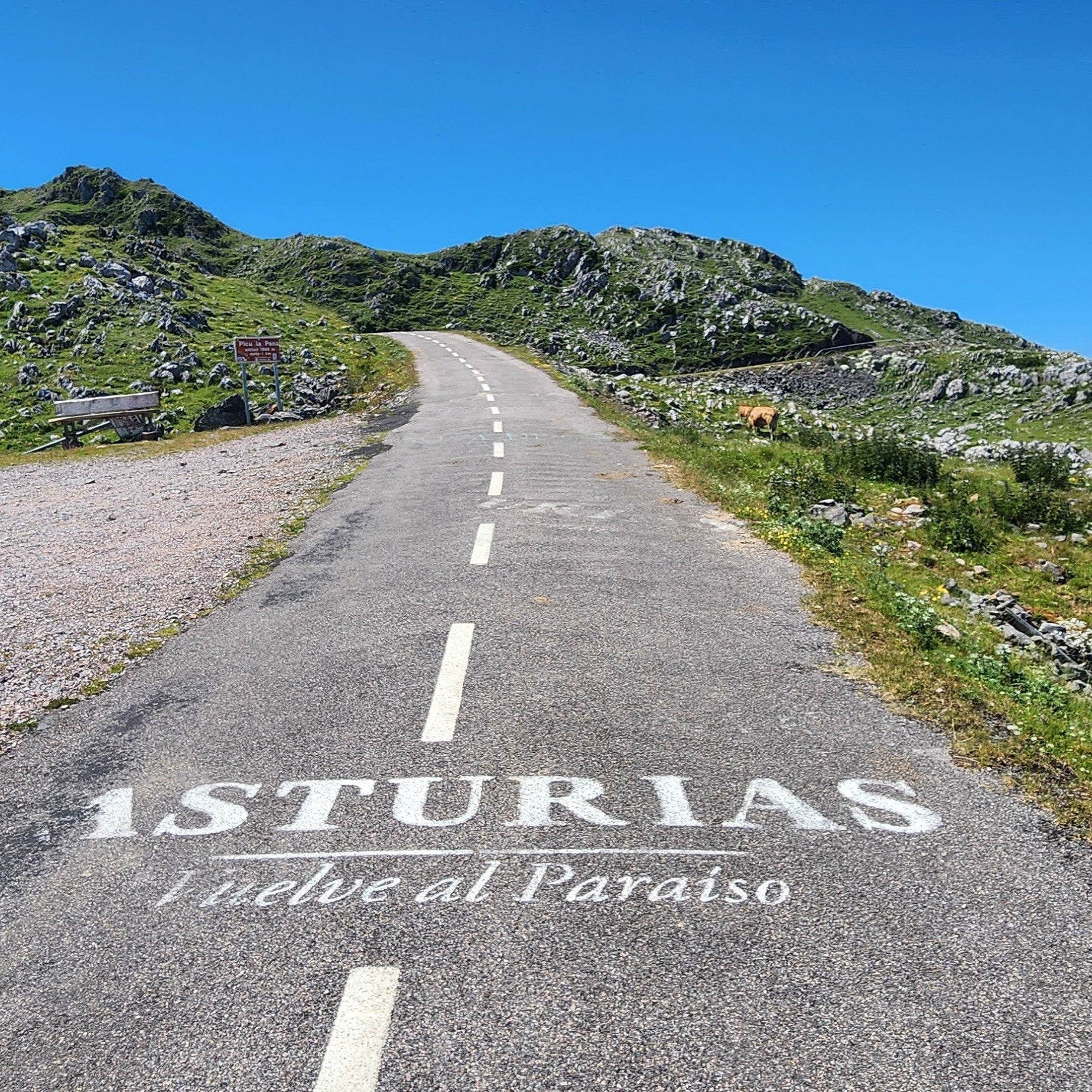 Discover Mallorca Tour - The Island of a Thousand Switchbacks - 8 days