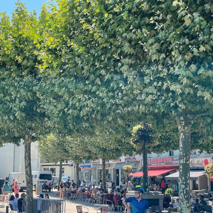 Ride the Divide: Pyrenees Tour – 10 Days