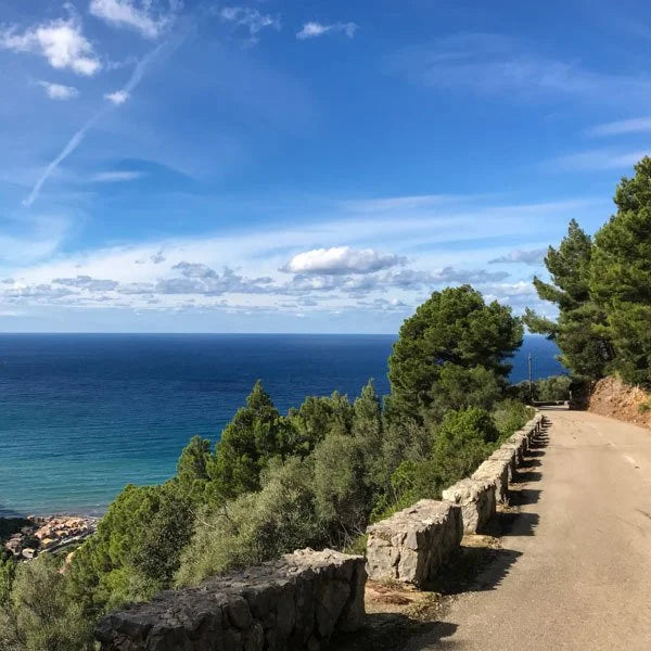 Discover Mallorca Tour - The Island of a Thousand Switchbacks - 8 days