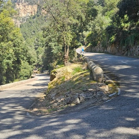 Discover Mallorca Tour - The Island of a Thousand Switchbacks - 8 days