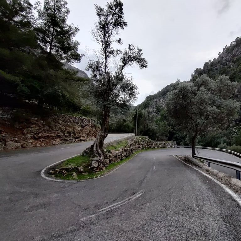 Discover Mallorca Tour - The Island of a Thousand Switchbacks - 8 days
